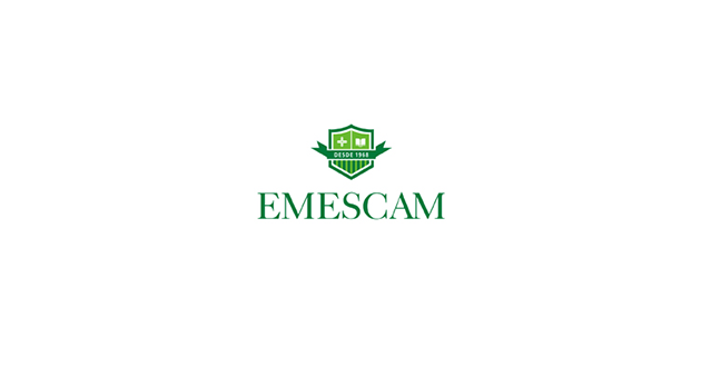 Vestibular de Medicina Emescam 2020/2