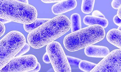 Assuntos de Biologia que mais caem no Enem