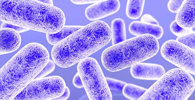 Assuntos de Biologia que mais caem no Enem