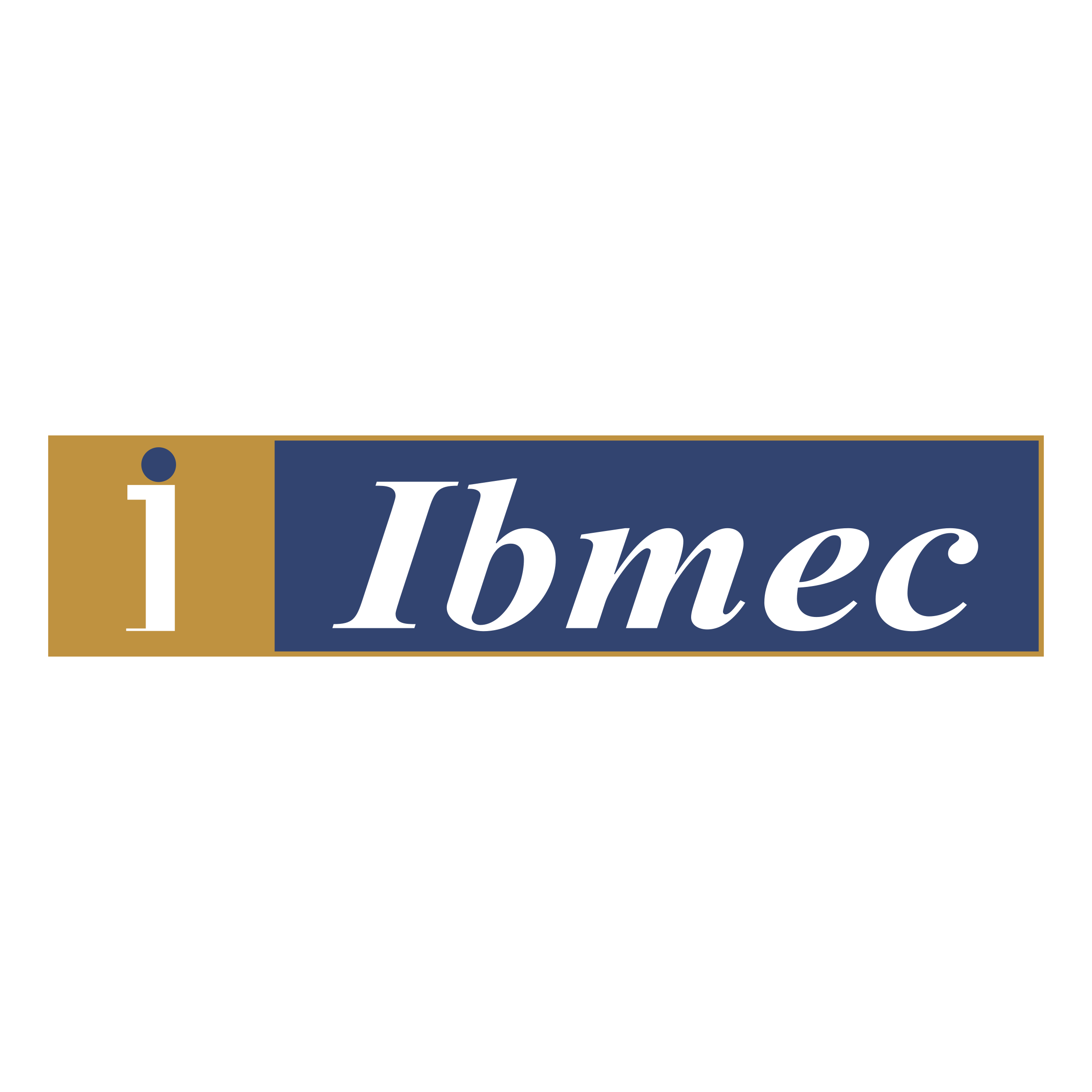 logo ibmec